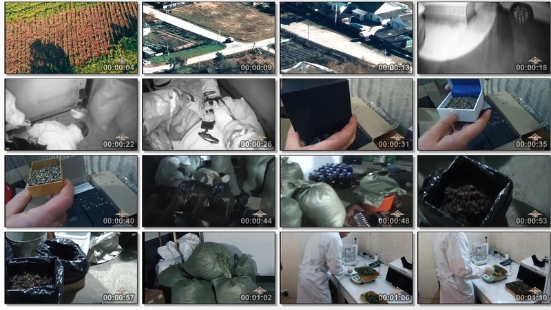 У жителя Кировского округа изъяли более 160 кг марихуан...